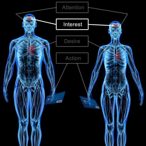 Elements of a Superior Ad - The AIDA Sequence - Interest